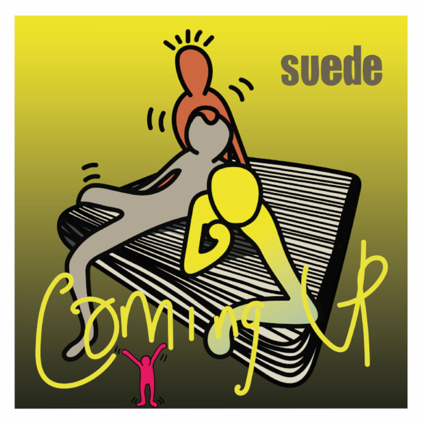 Main image Suede