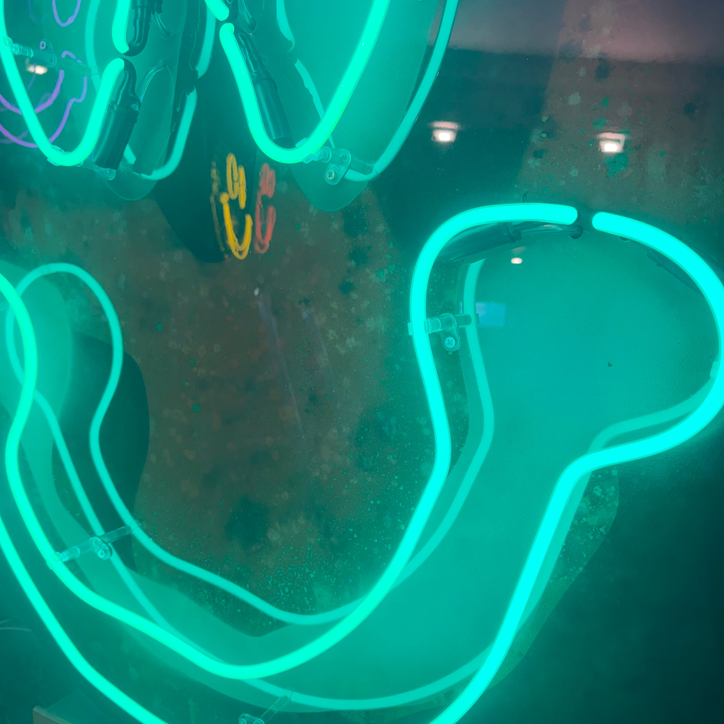 Dopamine smile medium turquoise